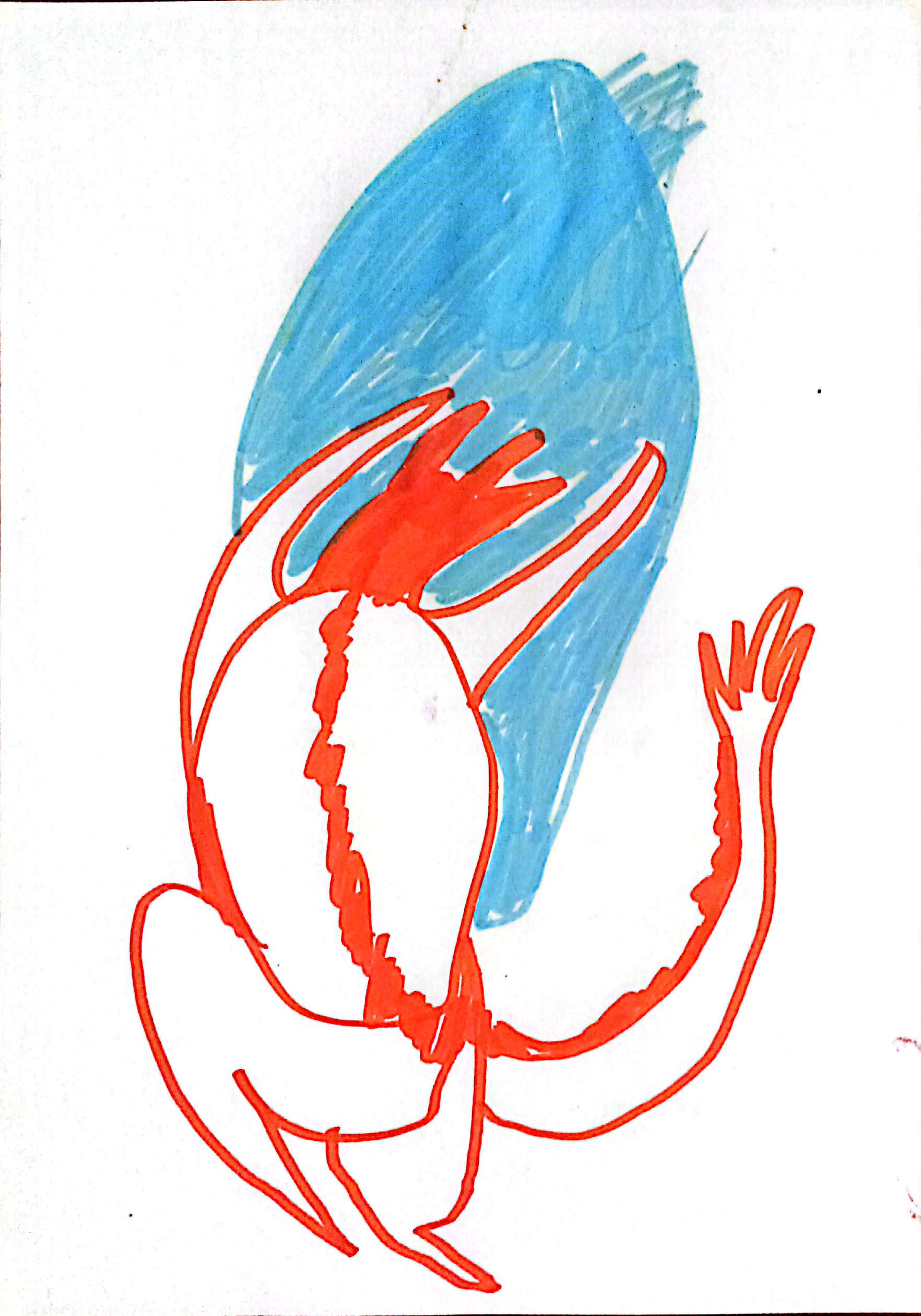 drawings